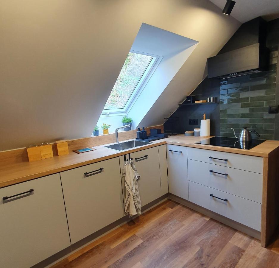 Apartamenty Magiczna Wenecja Cieszyn  Εξωτερικό φωτογραφία