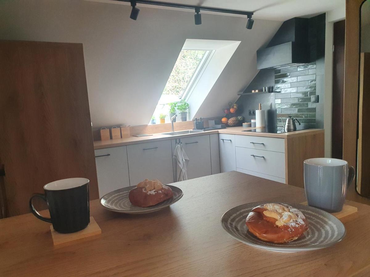 Apartamenty Magiczna Wenecja Cieszyn  Εξωτερικό φωτογραφία